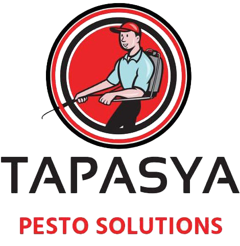 Tapasya Pesto Solution