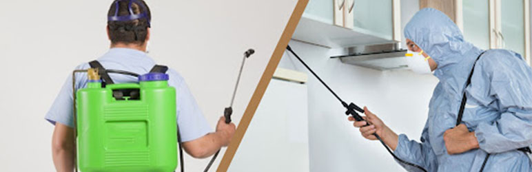 combination pest control services in pune